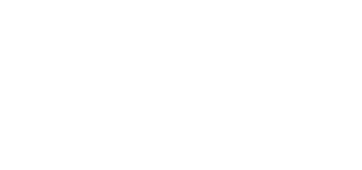 FONDAZIONE CARIPLO